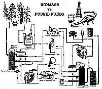 Biomass vs Fossil Fuels